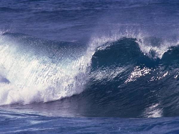 Nằm mơ thấy sóng biển lớn đánh con gì?