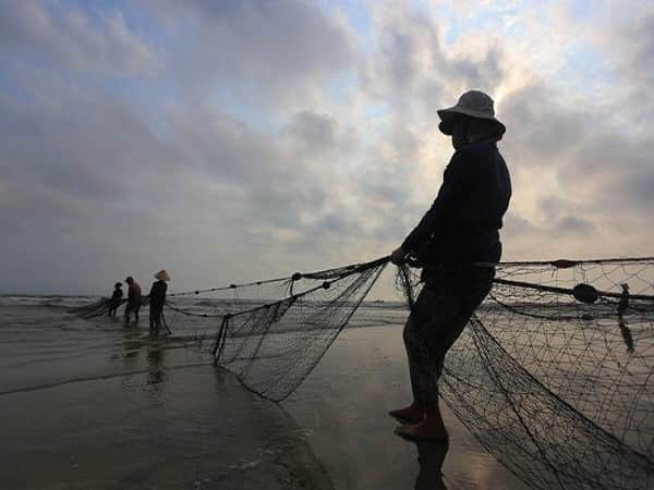 Mơ thấy kéo lưới bắt cá